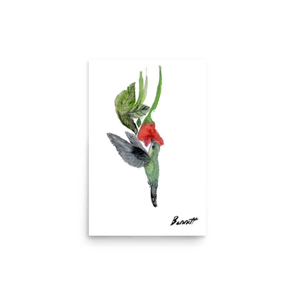 Watercolor Hummingbird and Flower Art Print - Nature Inspired Decor