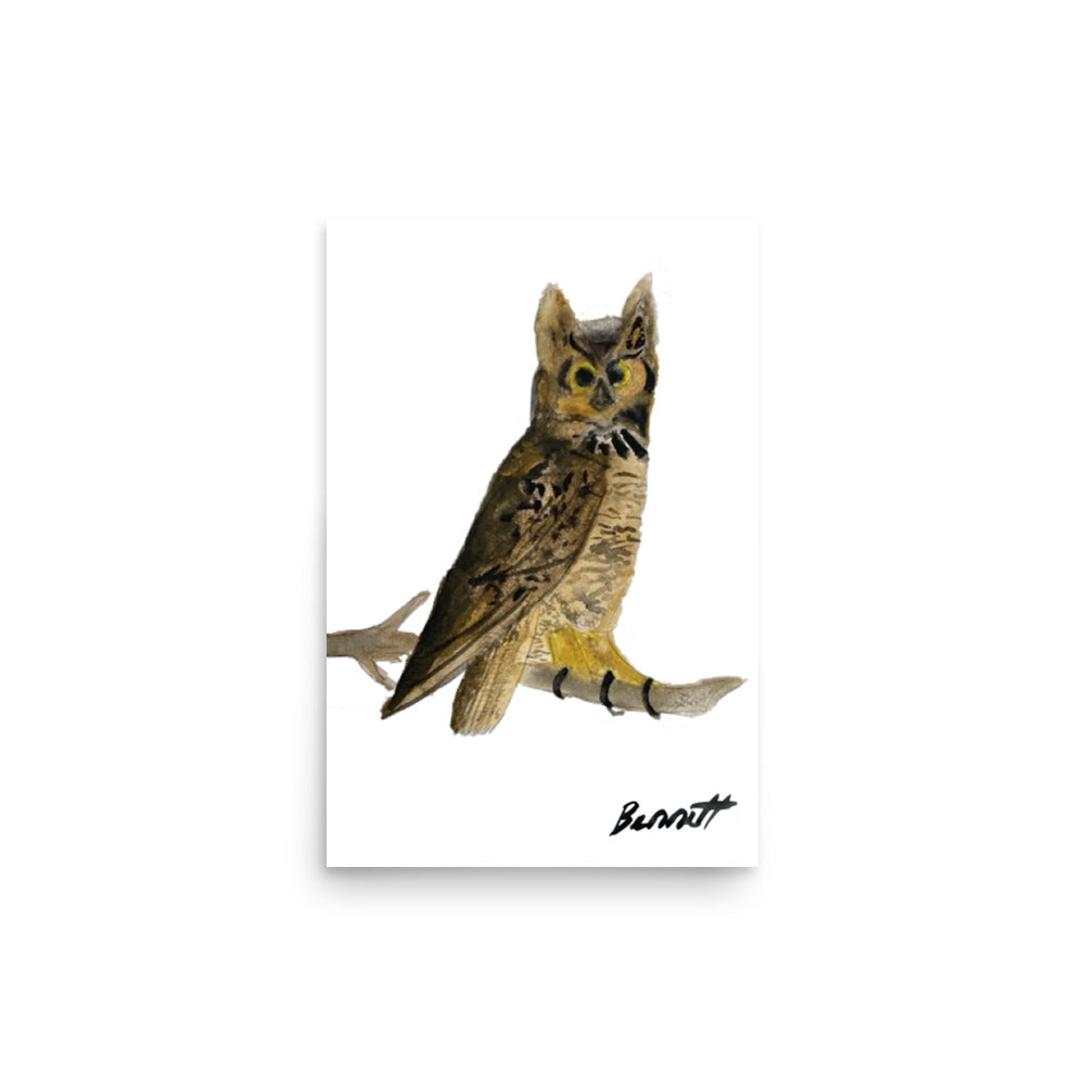 Watercolor Owl by Bennett - Captivating Bird Art Print