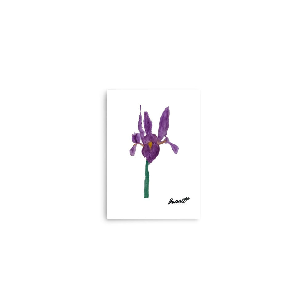 Watercolor Iris Art Print