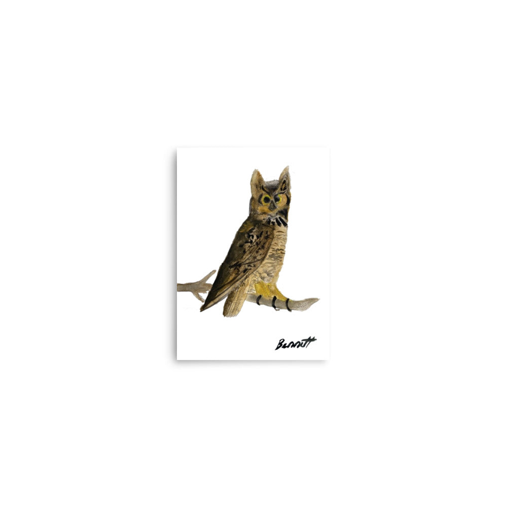Watercolor Owl by Bennett - Captivating Bird Art Print
