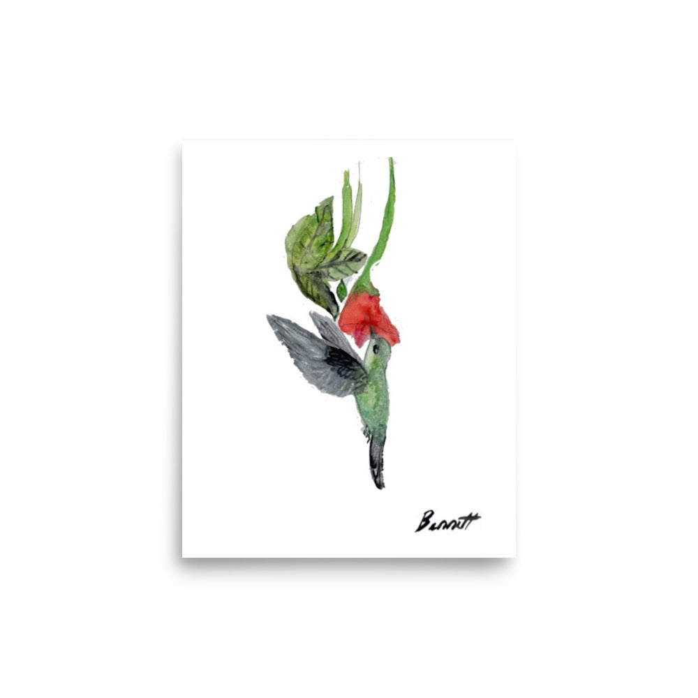 Watercolor Hummingbird and Flower Art Print - Nature Inspired Decor