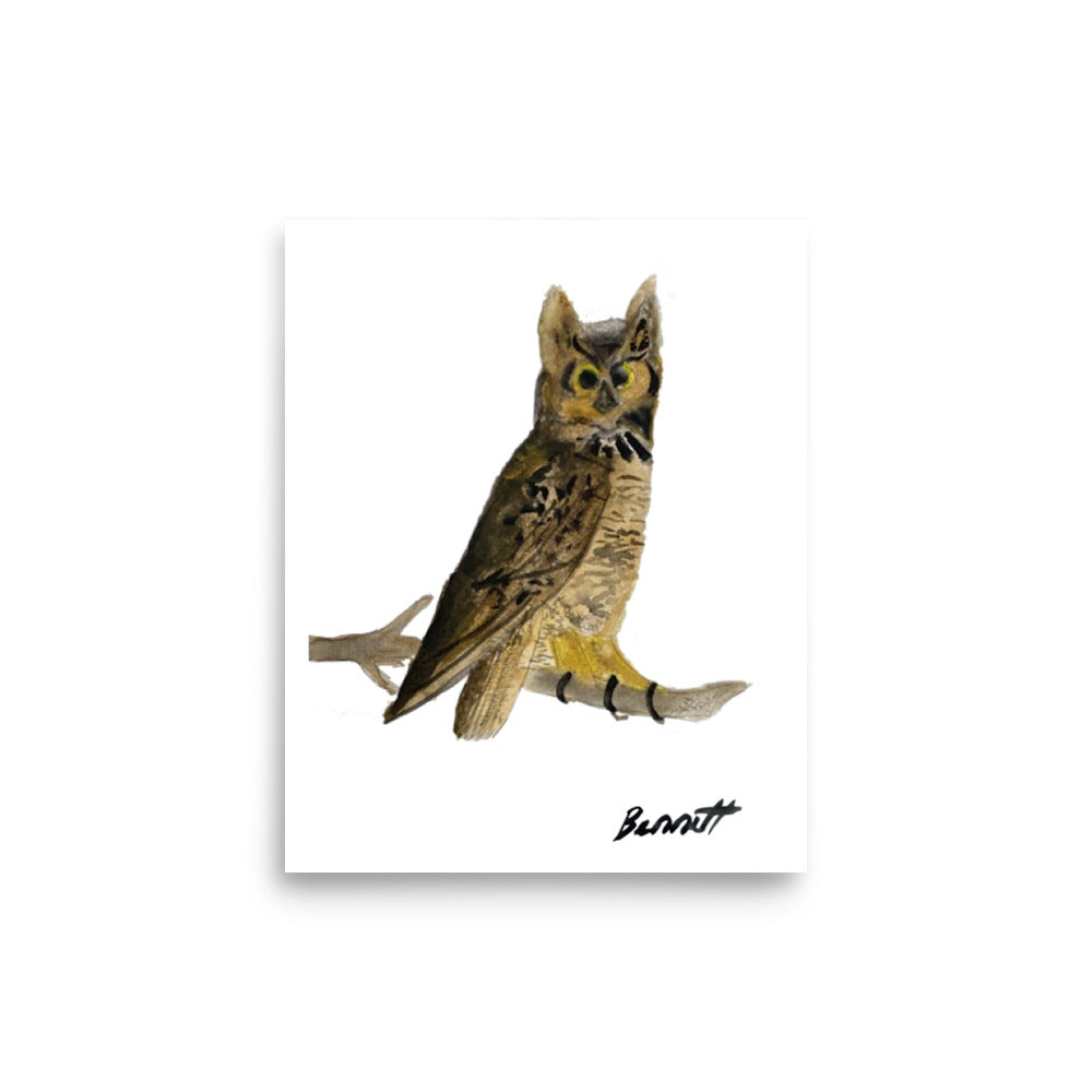 Watercolor Owl by Bennett - Captivating Bird Art Print