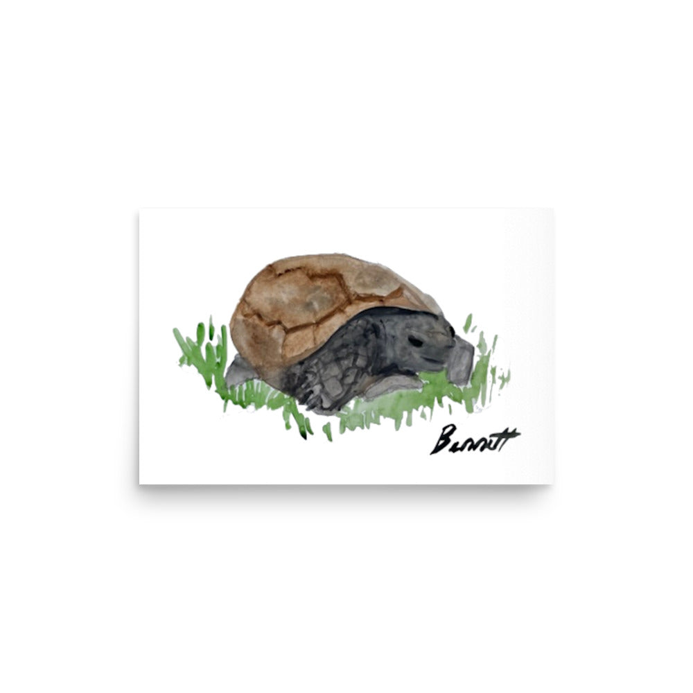 Mr. Henry the Gopher Tortoise from New Orleans - Charming Wildlife Watercolor Print