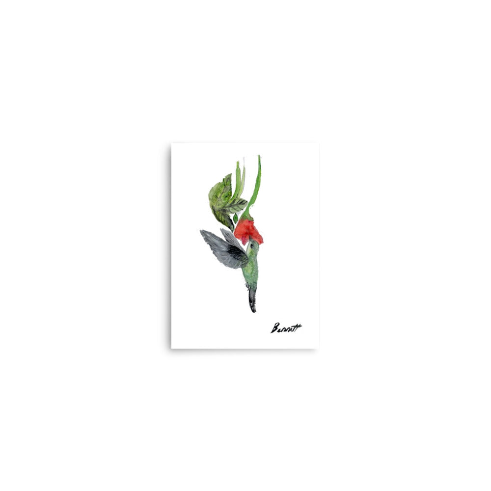 Watercolor Hummingbird and Flower Art Print - Nature Inspired Decor