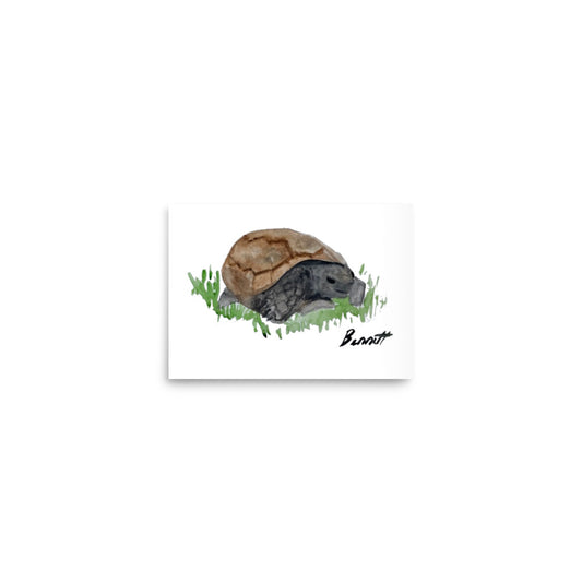 Mr. Henry the Gopher Tortoise from New Orleans - Charming Wildlife Watercolor Print