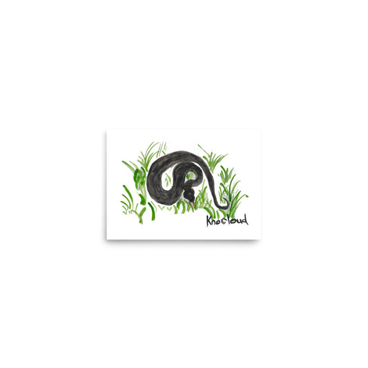 Black Water Moccassin - Hand-painted Watercolor Snake Print