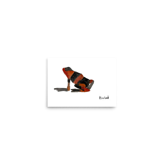 Histrionic Orange Poison Dart Frog: Watercolor Print