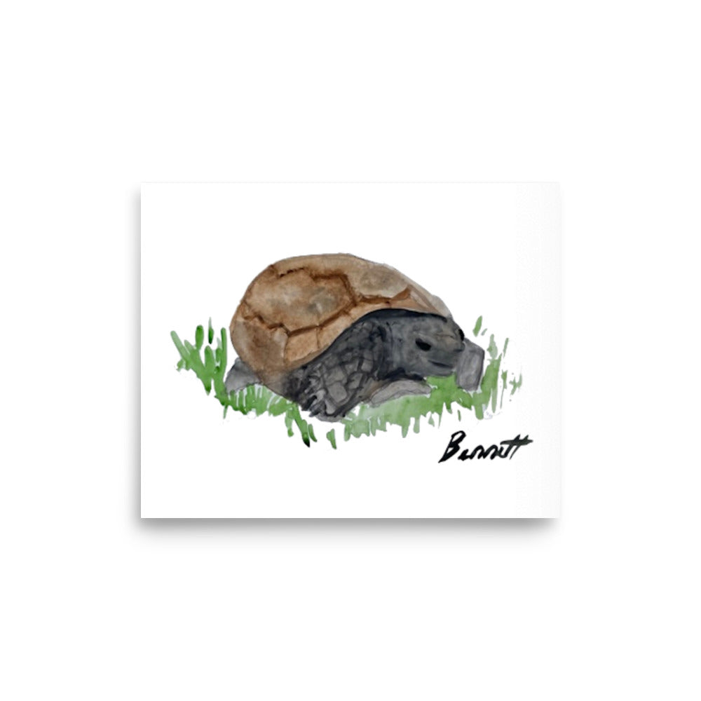 Mr. Henry the Gopher Tortoise from New Orleans - Charming Wildlife Watercolor Print