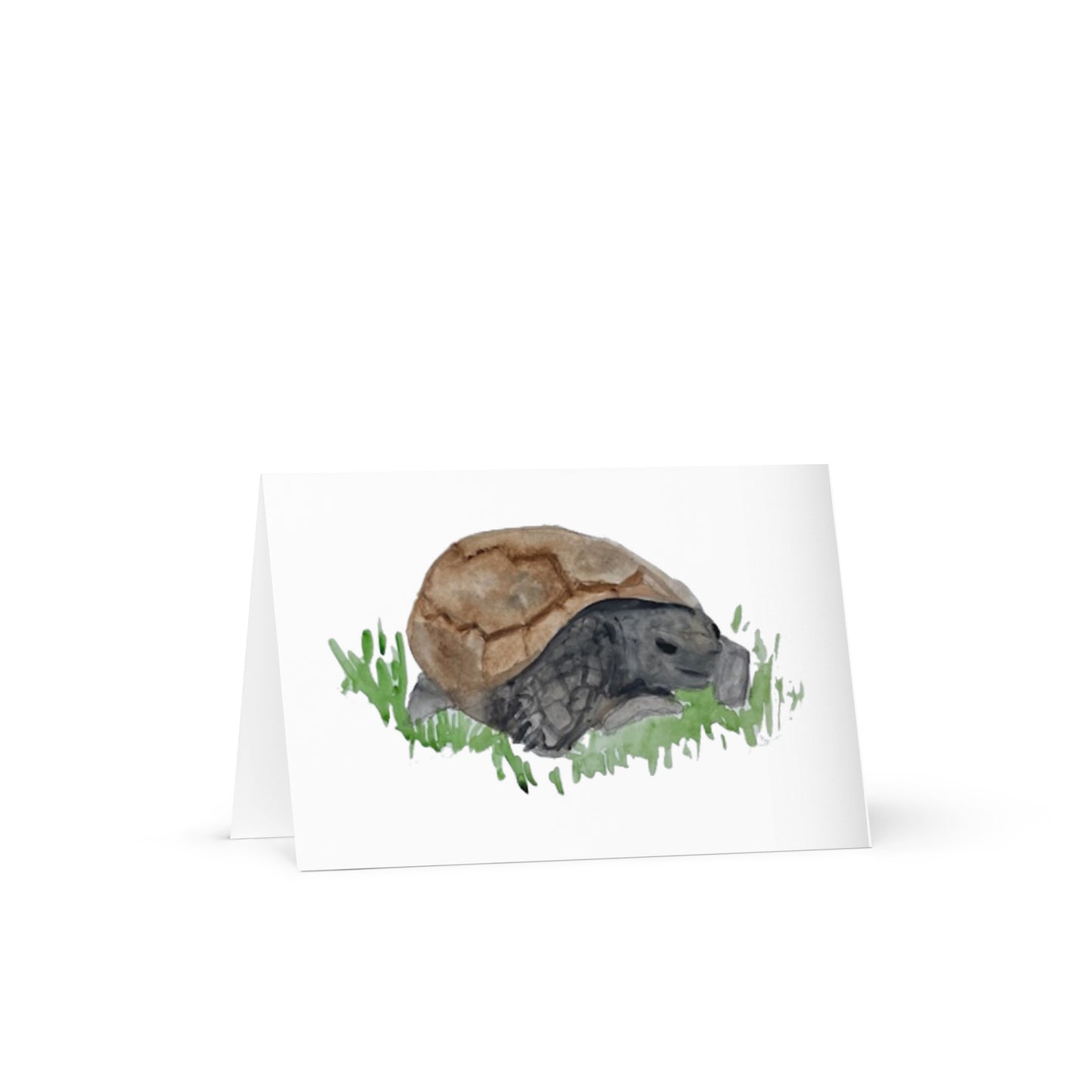 Mr Henry the Gopher Tortoise Note Cards - Set of 7